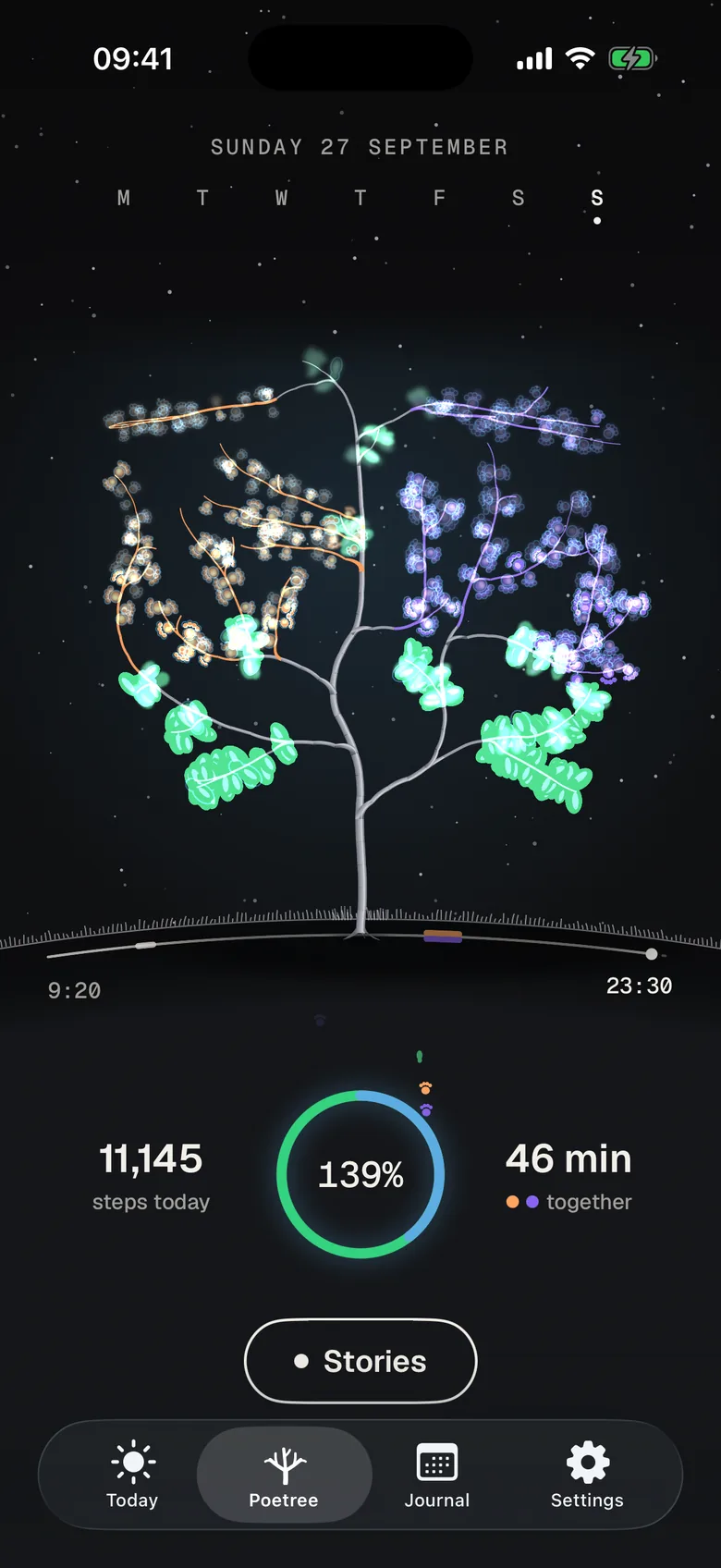 Poetree at night, with stars to the horizon
