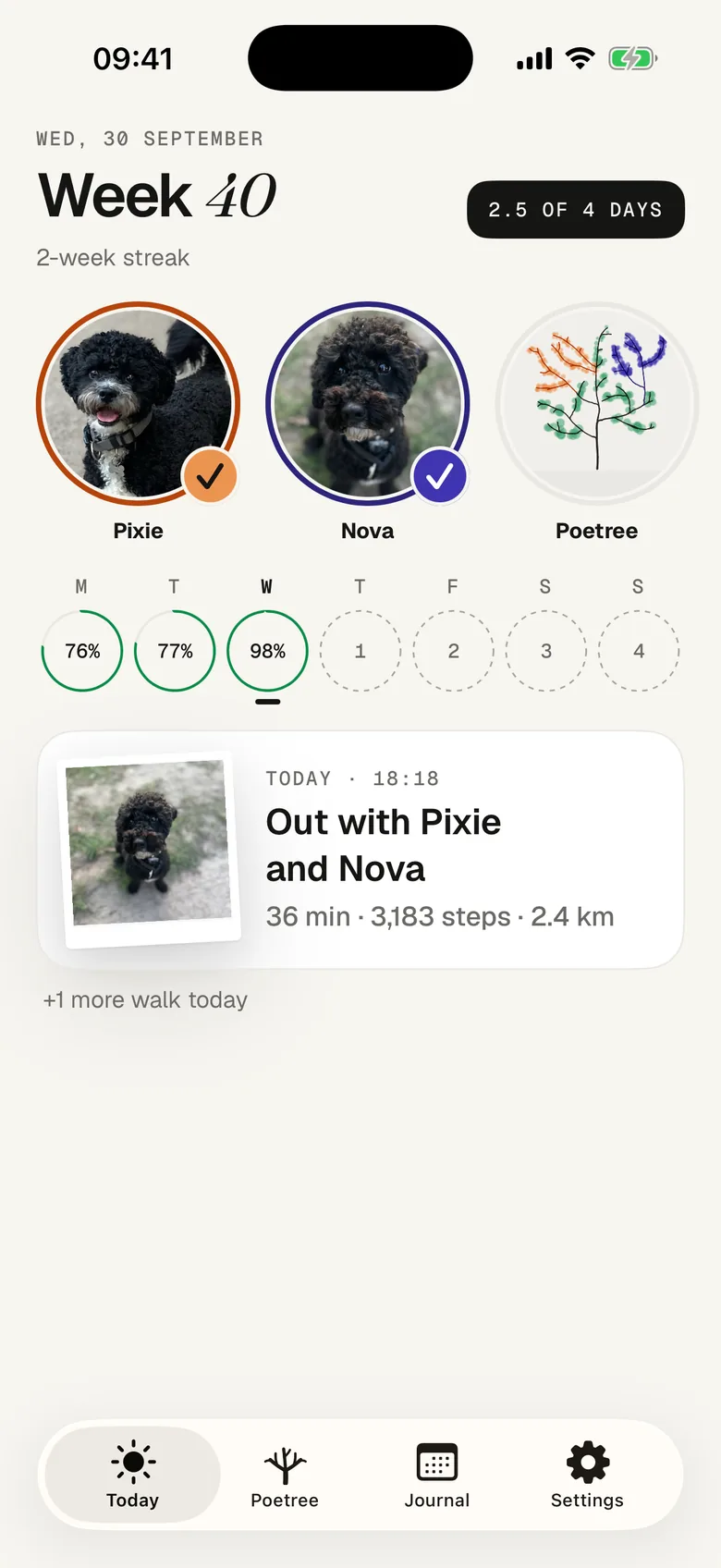 Today, week 40: a walk photo of Pixie, out with Pixie and Nova, 36 minutes, 3,183 steps